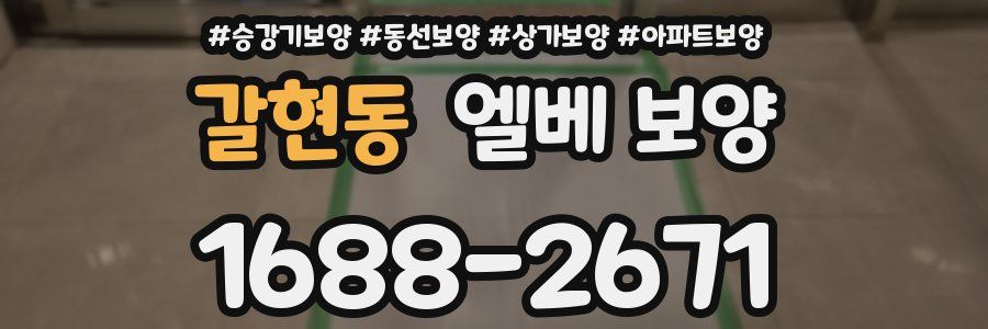 갈현동 엘베 보양