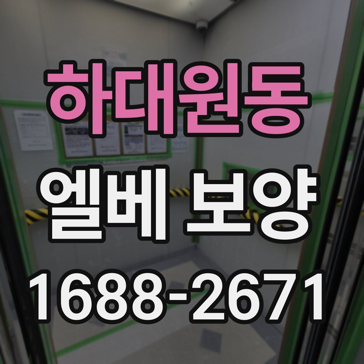 하대원동 엘베 보양
