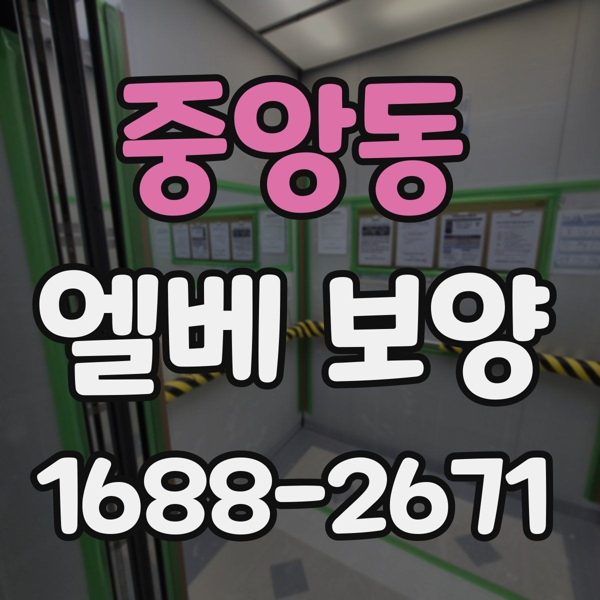 중앙동 엘베 보양 시트와 판넬을 나눠 쓰는 기준