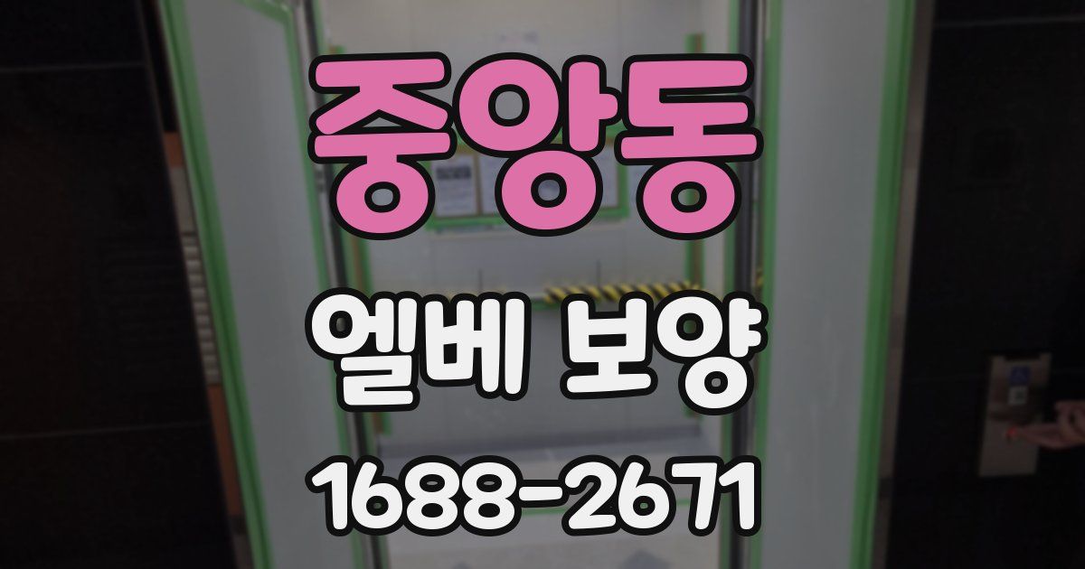 중앙동 엘베 보양