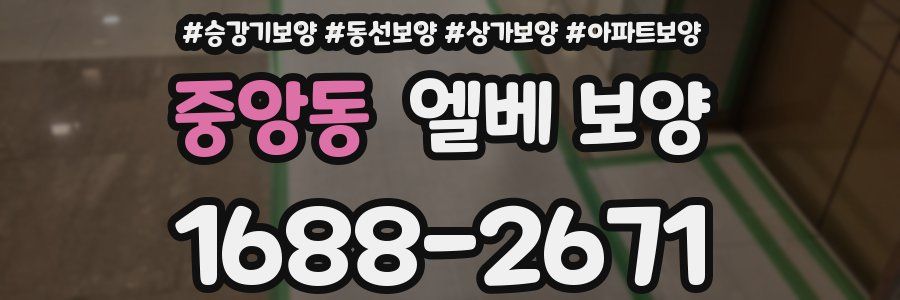 중앙동 엘베 보양