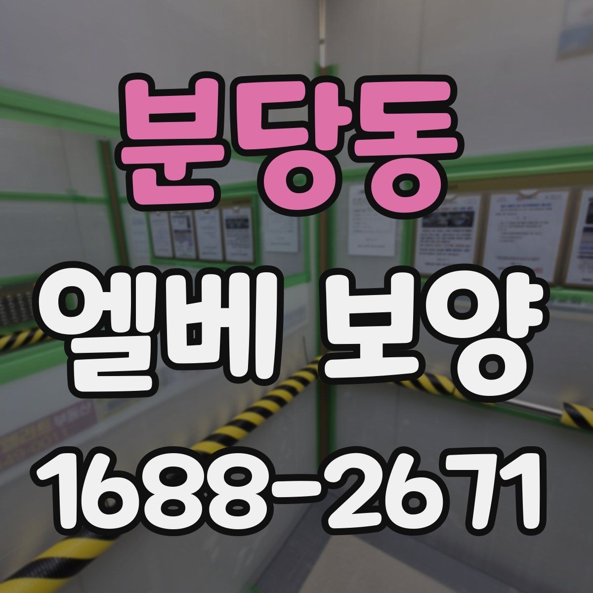 분당동 엘베 보양 승강기 내부와 출입부를 나눠 보는 법