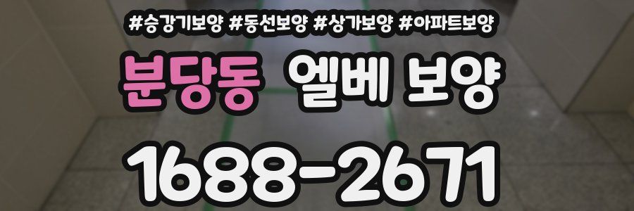 분당동 엘베 보양