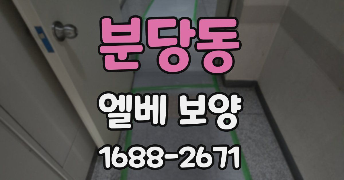 분당동 엘베 보양