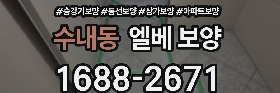 수내동 엘베 보양