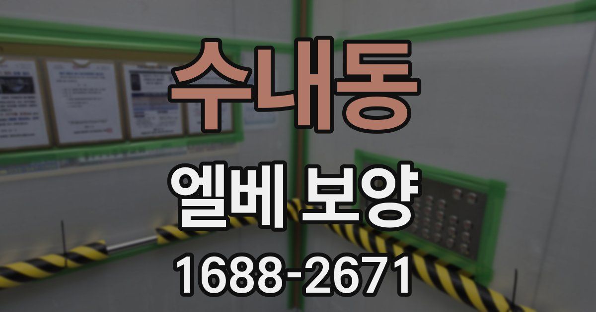 수내동 엘베 보양