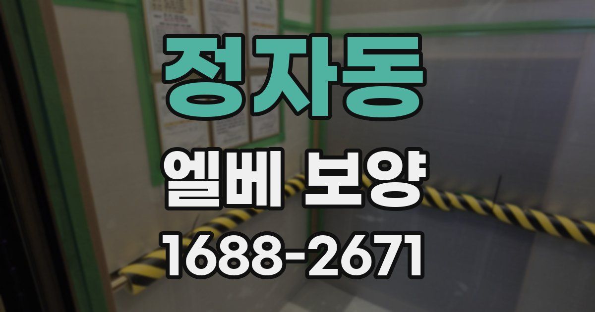 정자동 엘베 보양