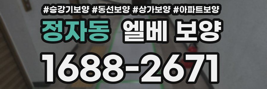 정자동 엘베 보양