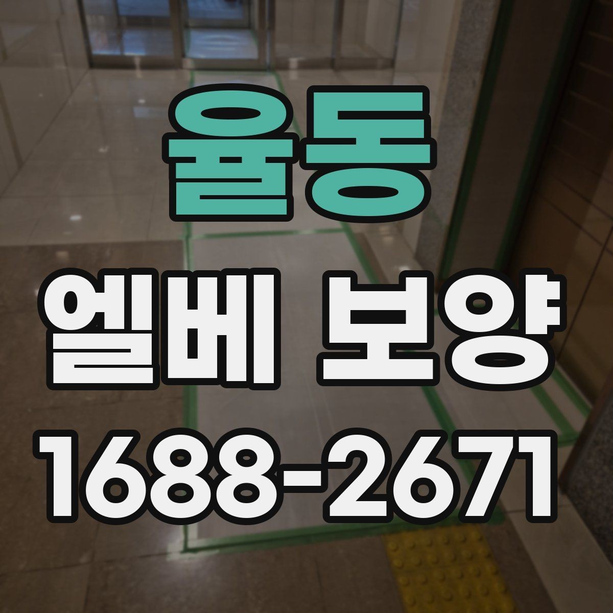 율동 엘베 보양 현장마다 달라지는 자재 배치와 보호 순서