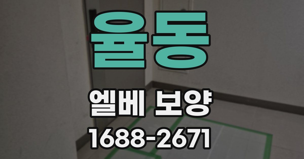 율동 엘베 보양