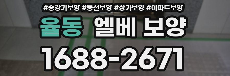 율동 엘베 보양