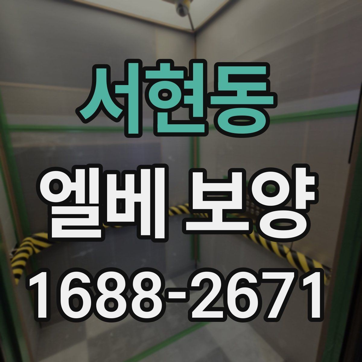 서현동 엘베 보양 보행 동선이 복잡한 아파트에서 먼저 볼 점