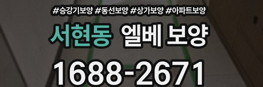 서현동 엘베 보양