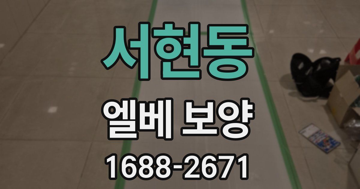 서현동 엘베 보양