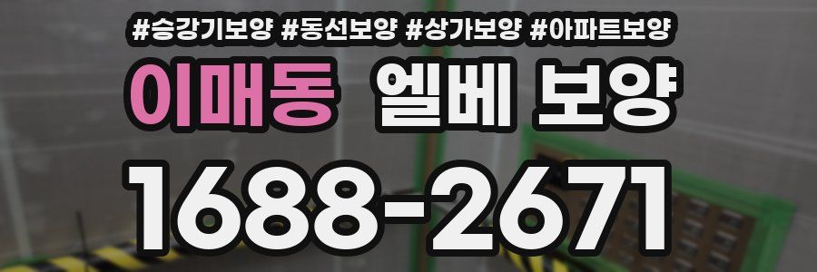 이매동 엘베 보양