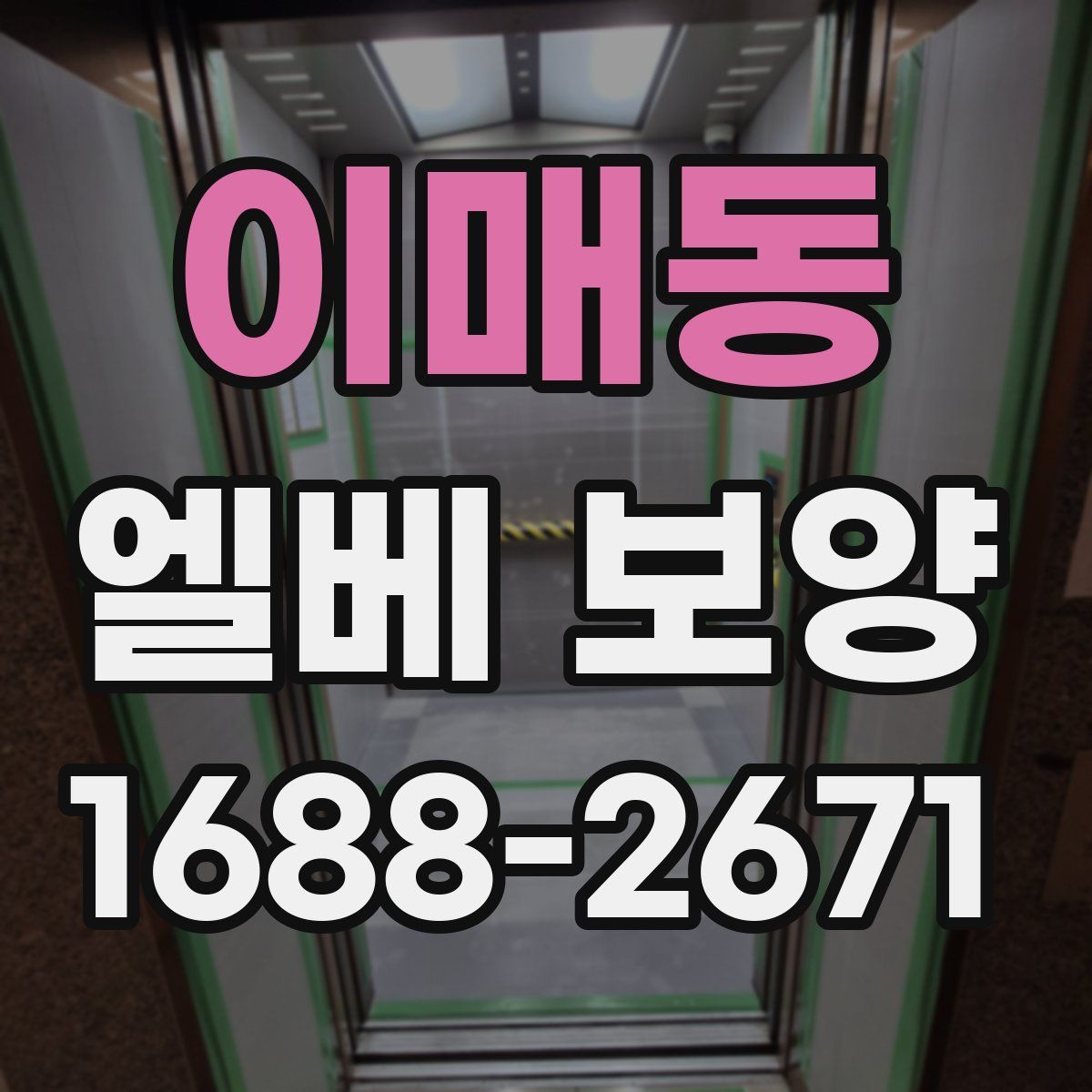 이매동 엘베 보양