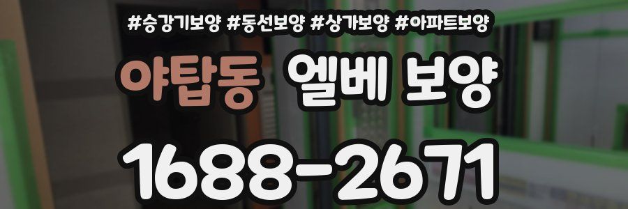 야탑동 엘베 보양