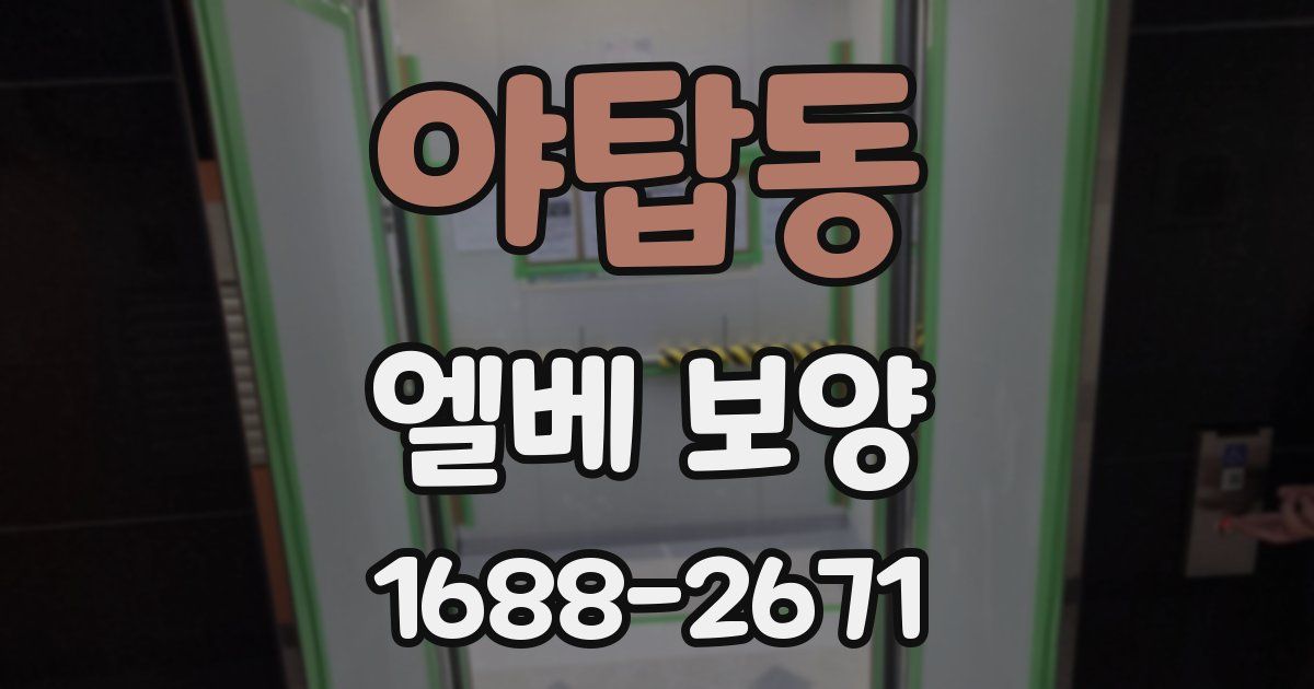 야탑동 엘베 보양