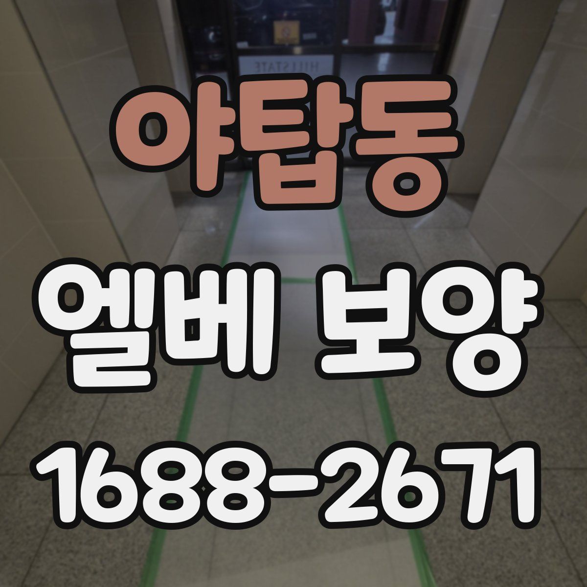 야탑동 엘베 보양