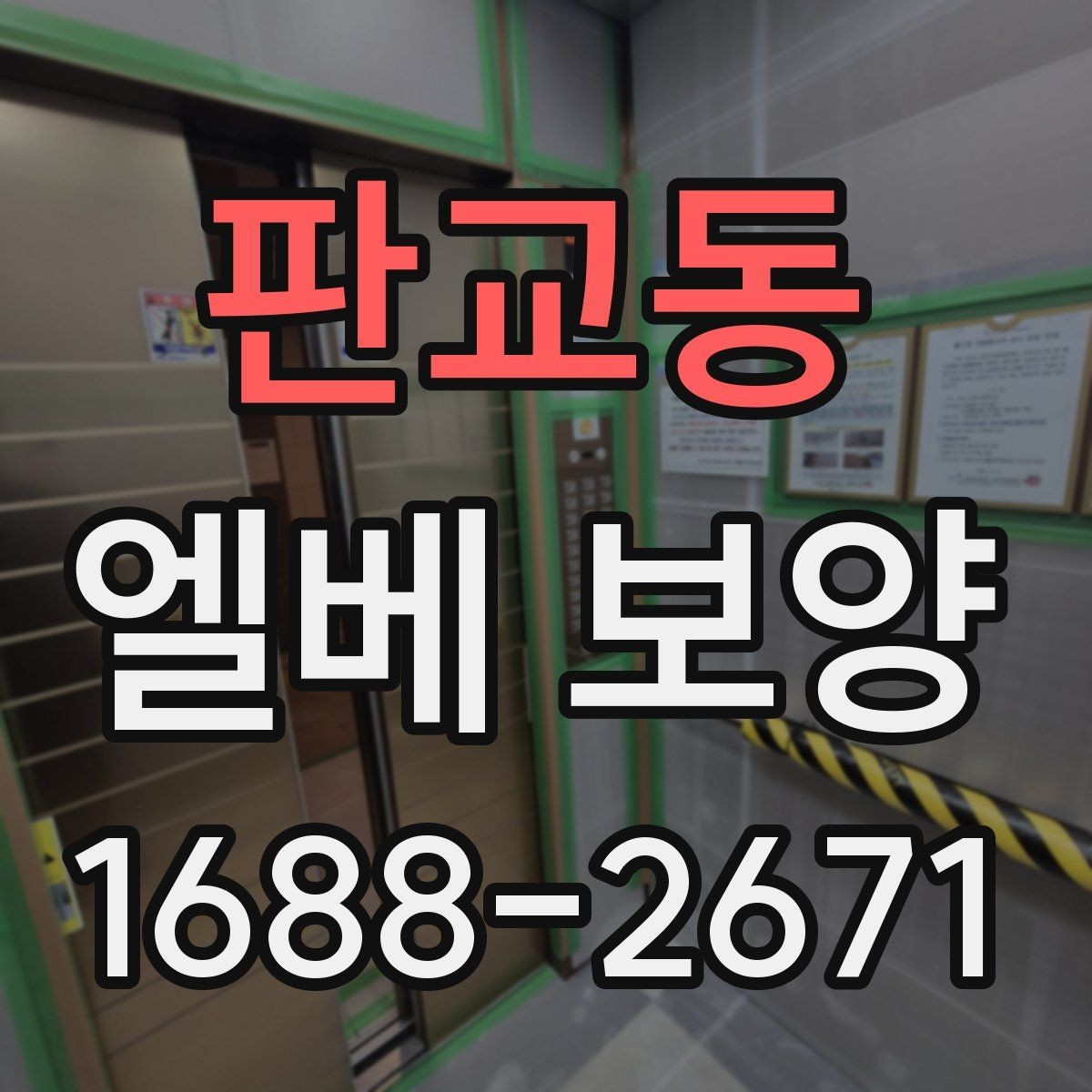 판교동 엘베 보양 작업 전후 사진 기록을 남겨야 하는 순간