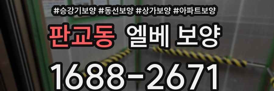 판교동 엘베 보양