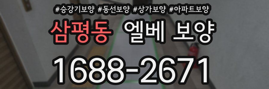 삼평동 엘베 보양