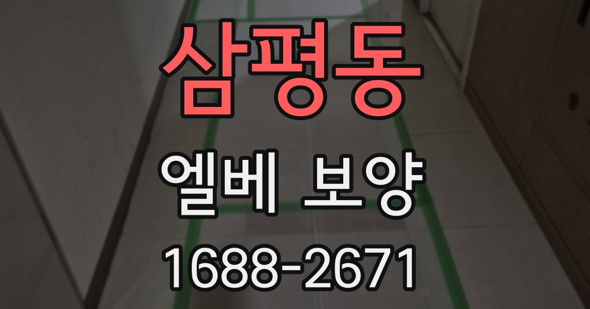 삼평동 엘베 보양