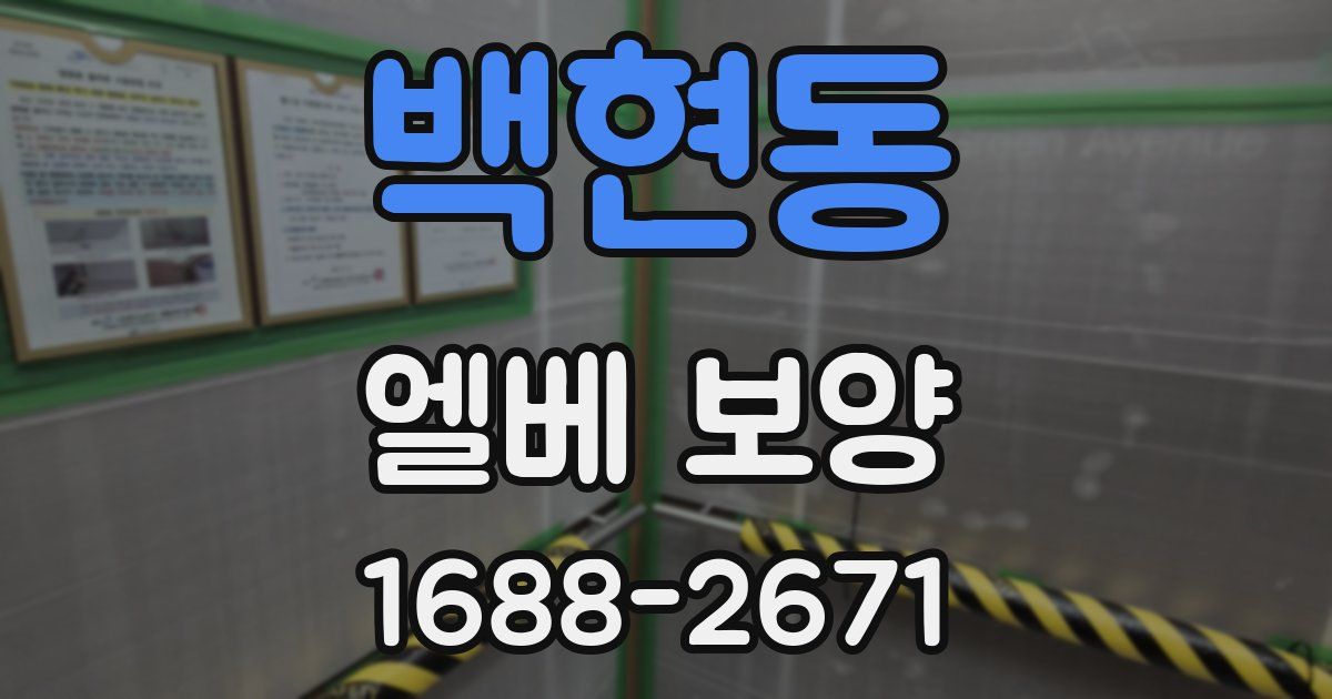 백현동 엘베 보양