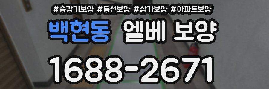 백현동 엘베 보양