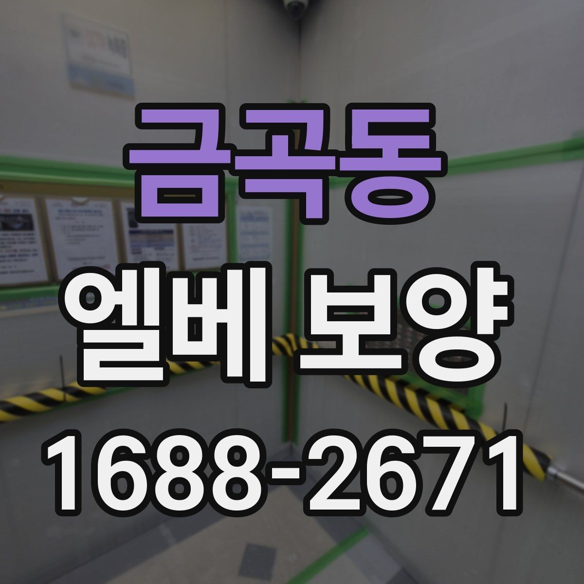 금곡동 엘베 보양 출입문 테두리 보호가 중요한 현장