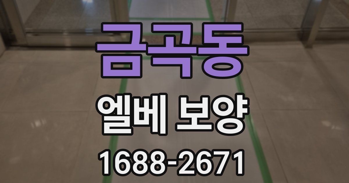 금곡동 엘베 보양