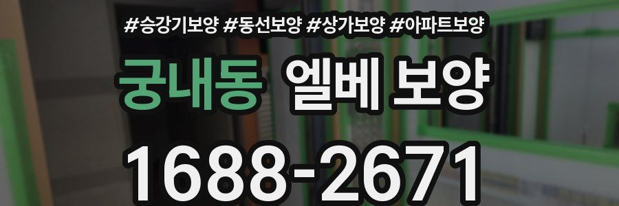 궁내동 엘베 보양