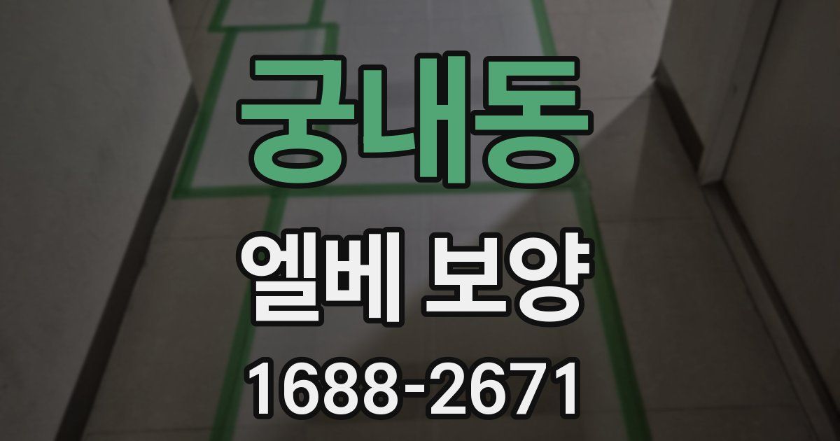 궁내동 엘베 보양