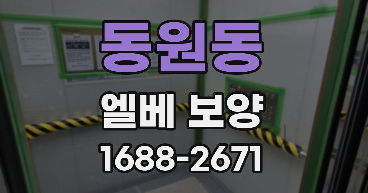 동원동 엘베 보양