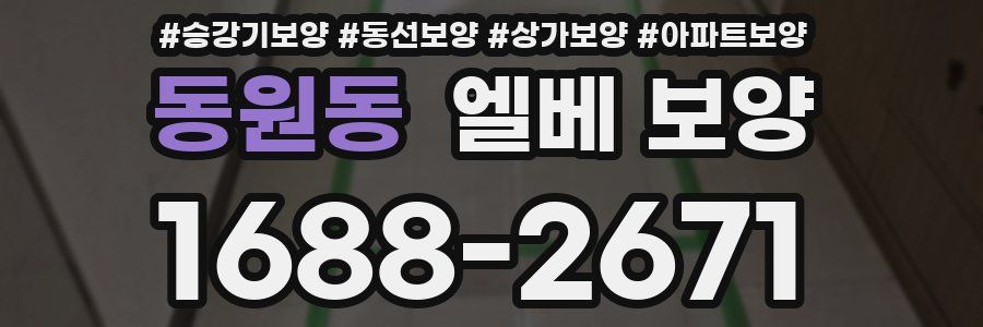 동원동 엘베 보양