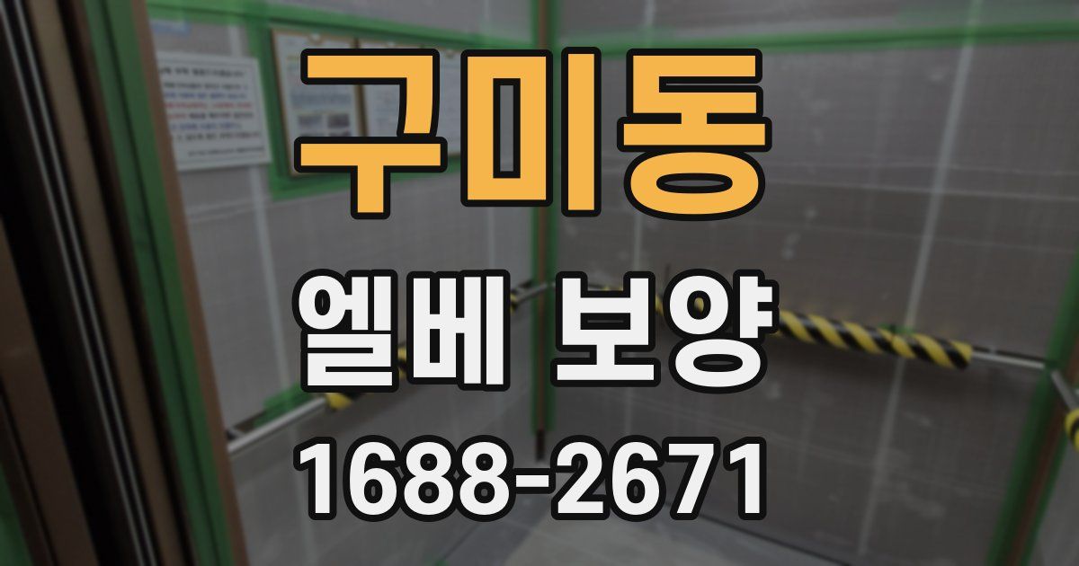 구미동 엘베 보양