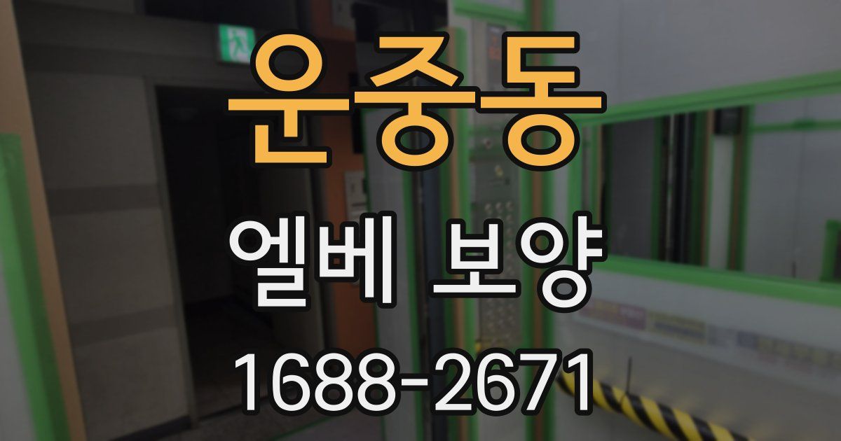 운중동 엘베 보양