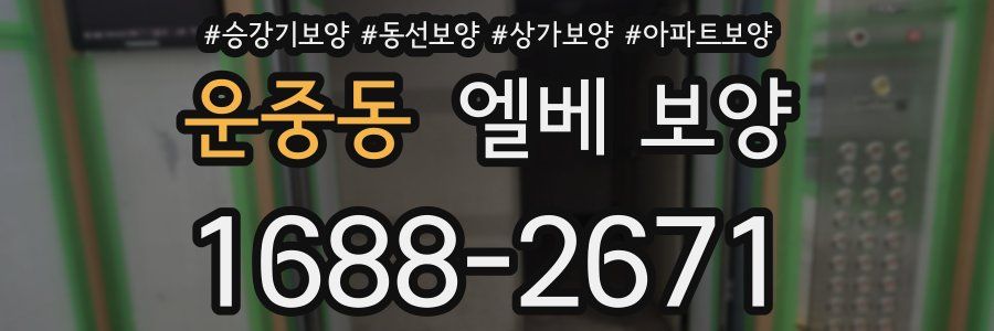 운중동 엘베 보양