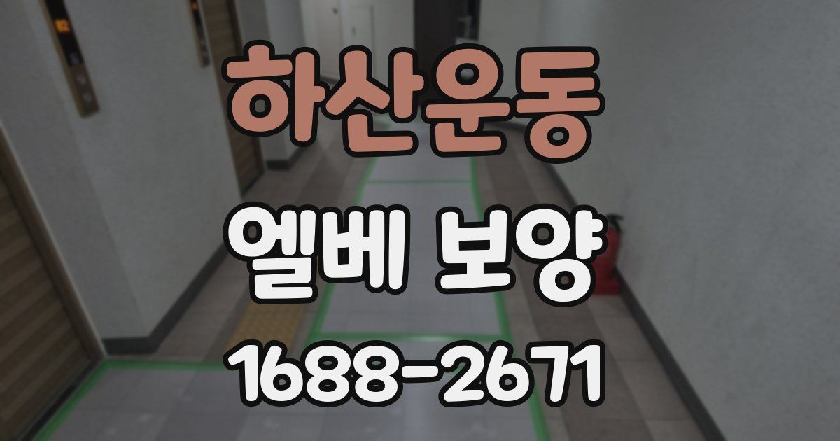 하산운동 엘베 보양