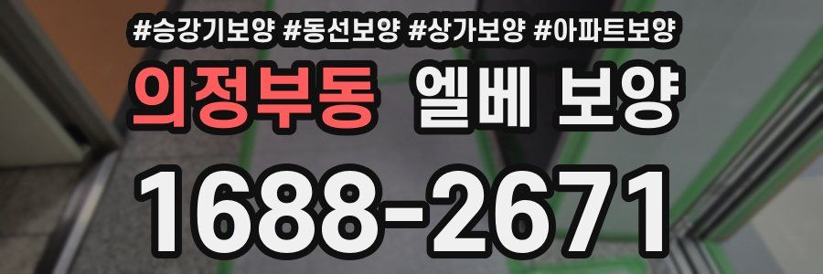 의정부동 엘베 보양