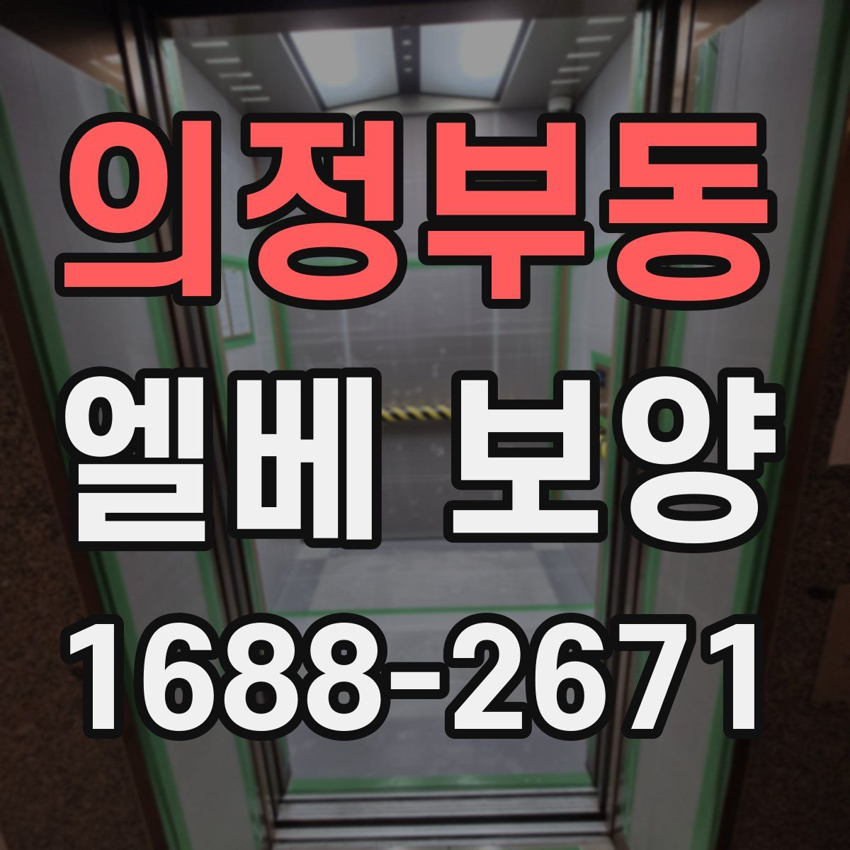 의정부동 엘베 보양