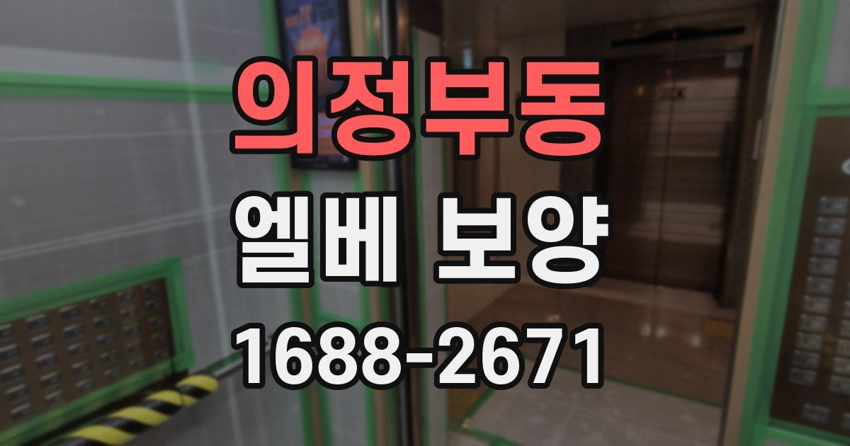 의정부동 엘베 보양