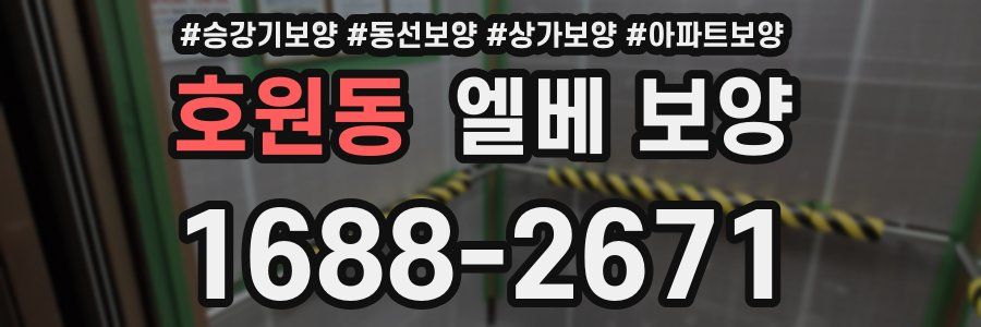 호원동 엘베 보양