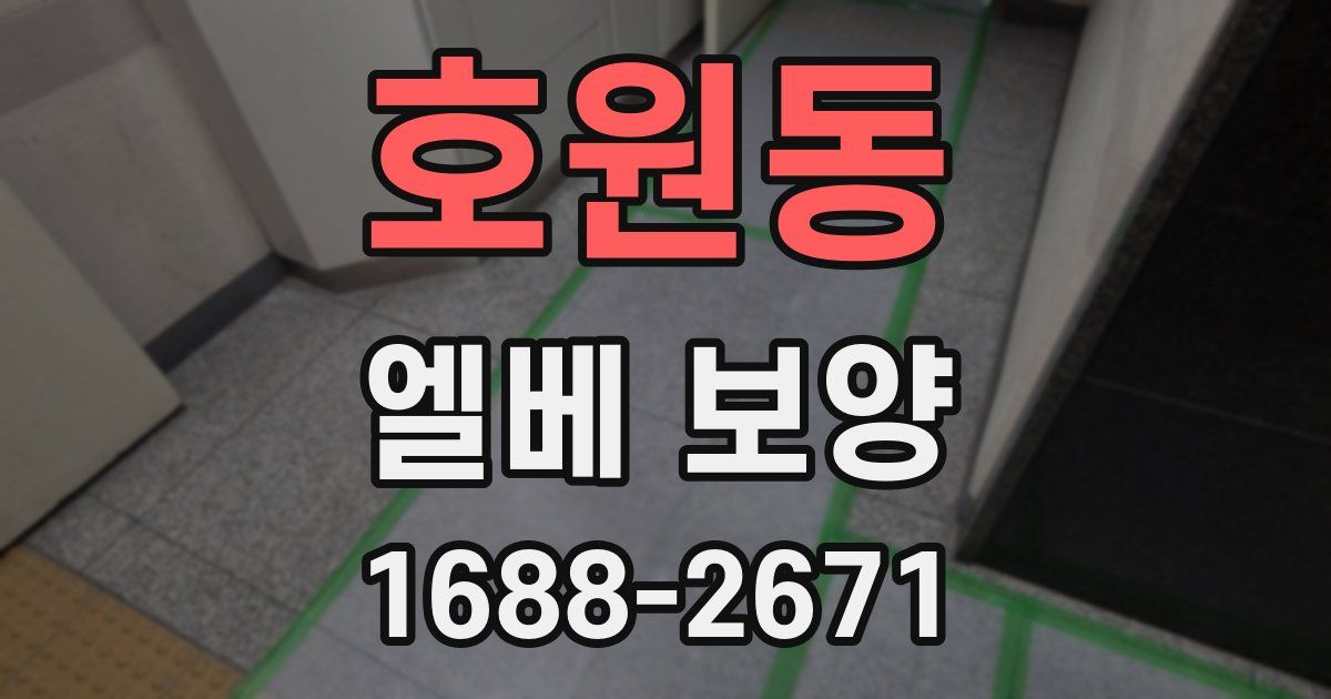 호원동 엘베 보양
