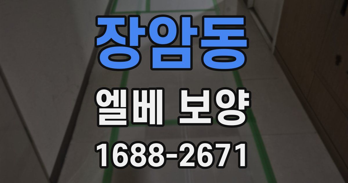 장암동 엘베 보양