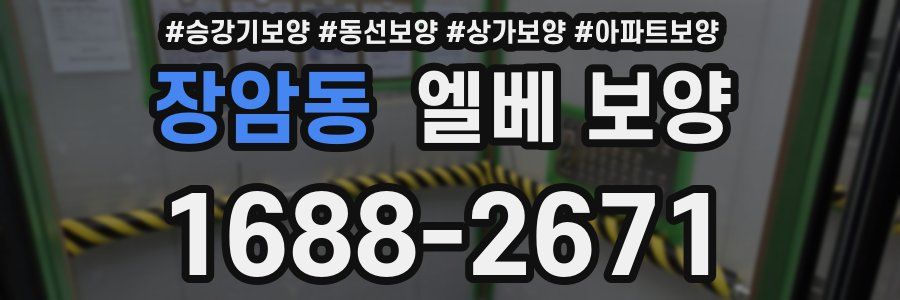 장암동 엘베 보양