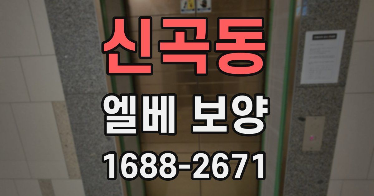 신곡동 엘베 보양