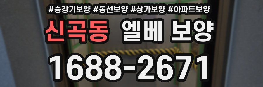 신곡동 엘베 보양