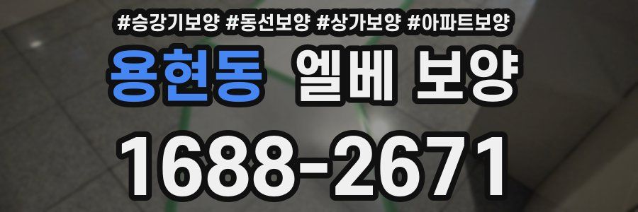 용현동 엘베 보양