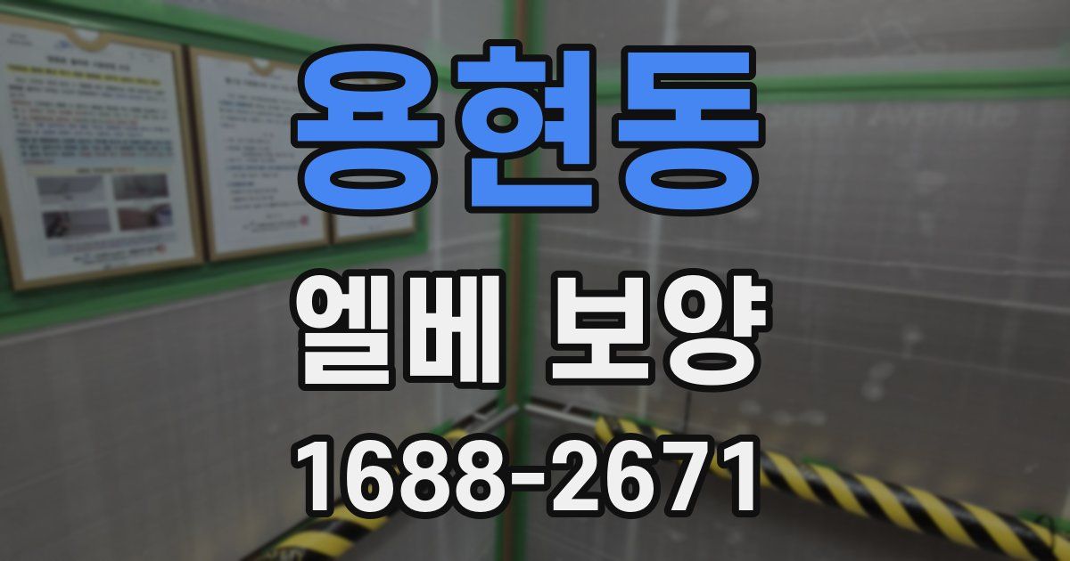 용현동 엘베 보양